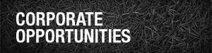 adelovalcorporate300x75.jpg